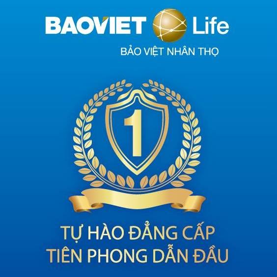 Bảo Việt Nhân thọ có phải của Nhà nước không